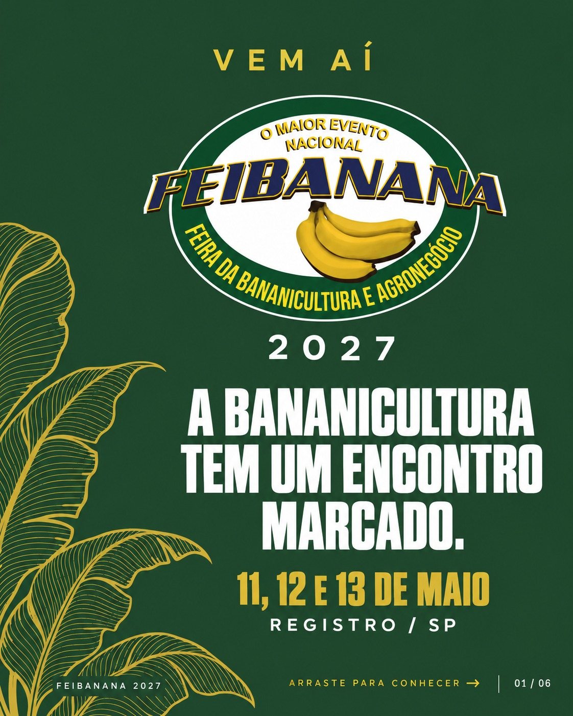FEIBANANA 2027: sua empresa conectada à cadeia produtiva da banana
